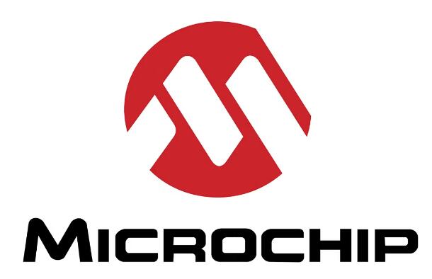 Технология микрочипов